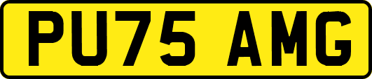 PU75AMG