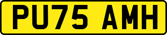 PU75AMH