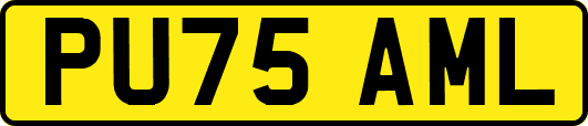 PU75AML