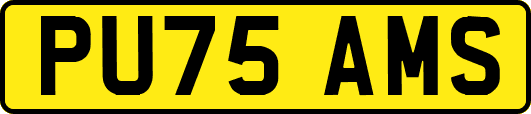 PU75AMS