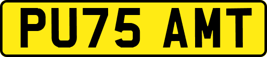 PU75AMT