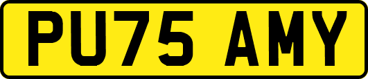 PU75AMY