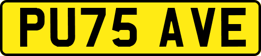 PU75AVE