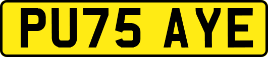 PU75AYE