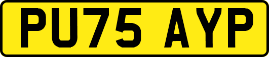 PU75AYP