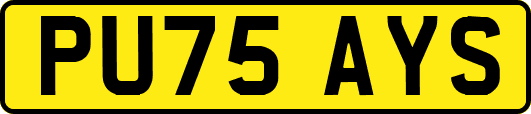 PU75AYS