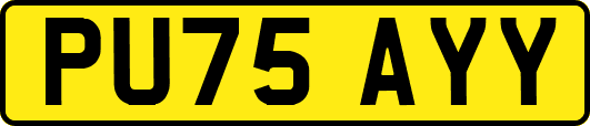 PU75AYY