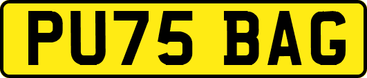 PU75BAG