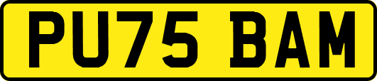 PU75BAM