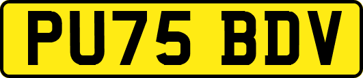 PU75BDV