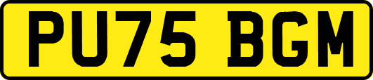 PU75BGM