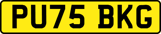 PU75BKG