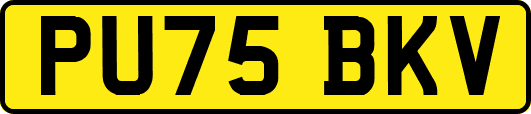 PU75BKV