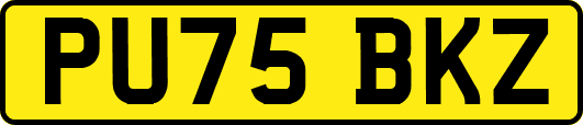 PU75BKZ