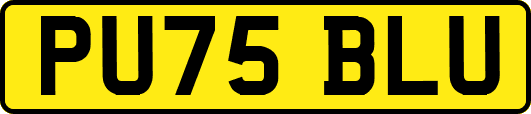 PU75BLU