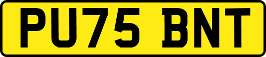 PU75BNT