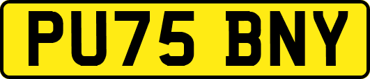 PU75BNY