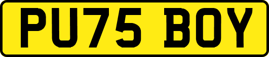 PU75BOY