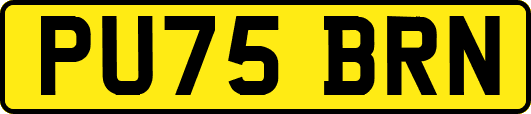 PU75BRN