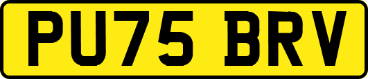 PU75BRV