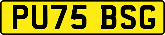 PU75BSG