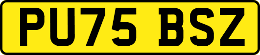 PU75BSZ