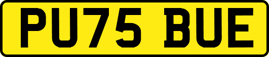 PU75BUE