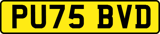 PU75BVD