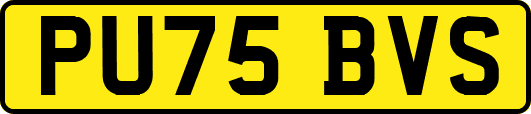 PU75BVS