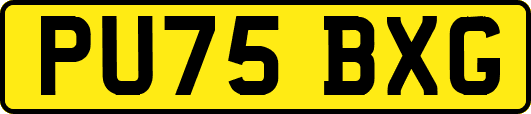 PU75BXG