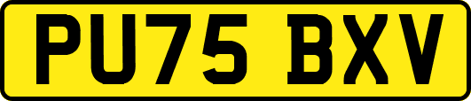 PU75BXV