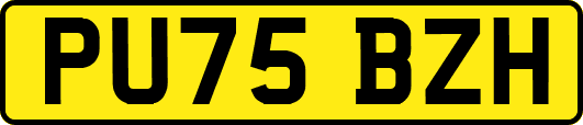 PU75BZH