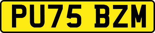 PU75BZM