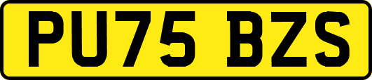 PU75BZS