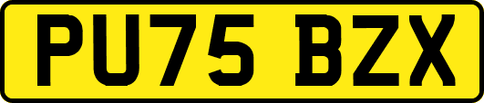 PU75BZX