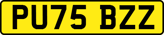 PU75BZZ