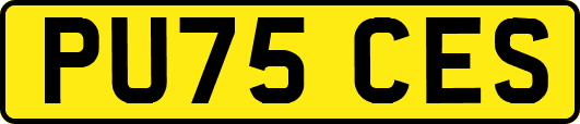PU75CES