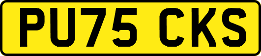 PU75CKS