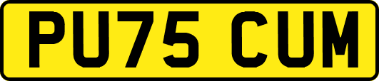 PU75CUM