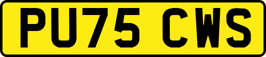 PU75CWS