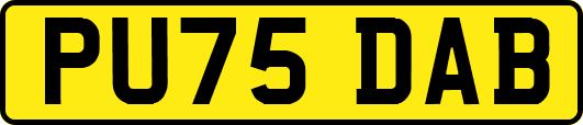 PU75DAB