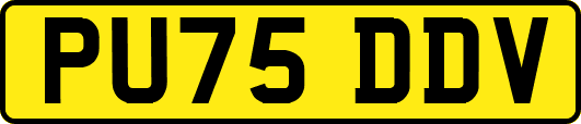 PU75DDV