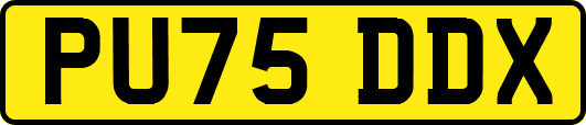 PU75DDX