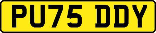 PU75DDY