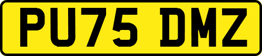 PU75DMZ