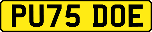 PU75DOE