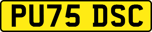PU75DSC