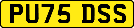 PU75DSS