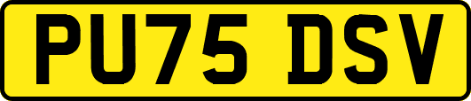 PU75DSV
