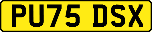 PU75DSX